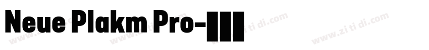 Neue Plakm Pro字体转换